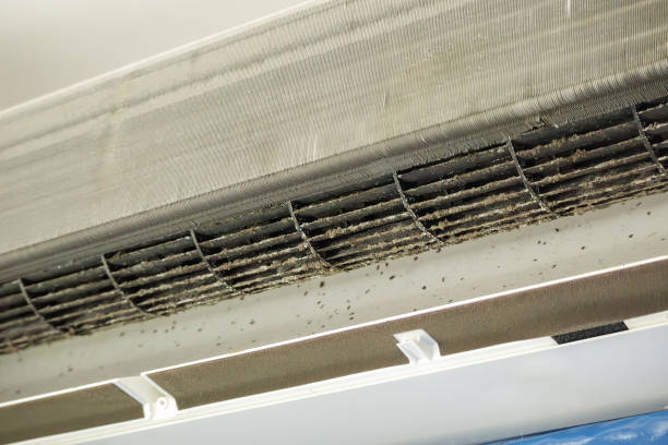 Best Residential Air Duct Cleaning  in Troy, PA